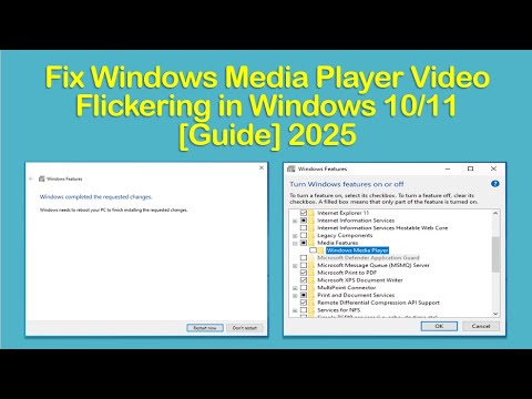 Fix Windows Media Player Video Flickering in Windows 10/11 [Guide] 2025