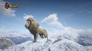 Lion Games Animal Simulator 3D screenshot 2