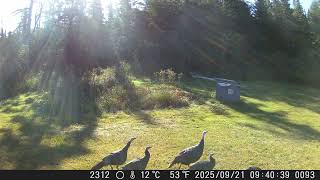 2025 — DSCF1093