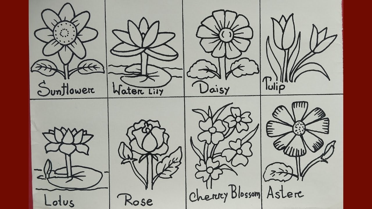 different types of flower drawing easy \ Flower chart making/8 Different types flower  drawing easy