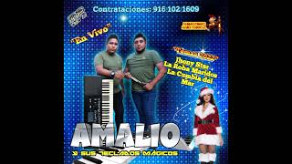 11 TONTA - AMALIO Y SUS TECLADOS MAGICOS 2022