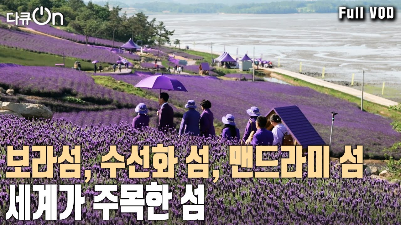 보라색 옷 입으면 입장료 무료! UN 세계관광기구  선정 '세계 최우수 관광마을' 반월 박지도~ [다큐온 KBS 20230610 방송]