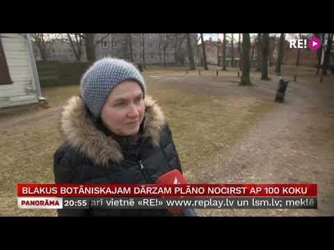 Blakus Botāniskajam dārzam plāno nocirst ap 100 koku