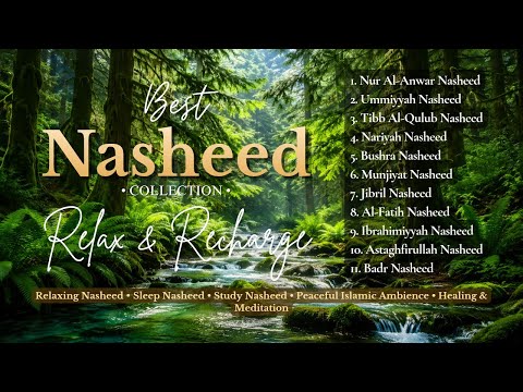 Peaceful Salawat & Nasheed | Calm Your Heart | Stress Relief