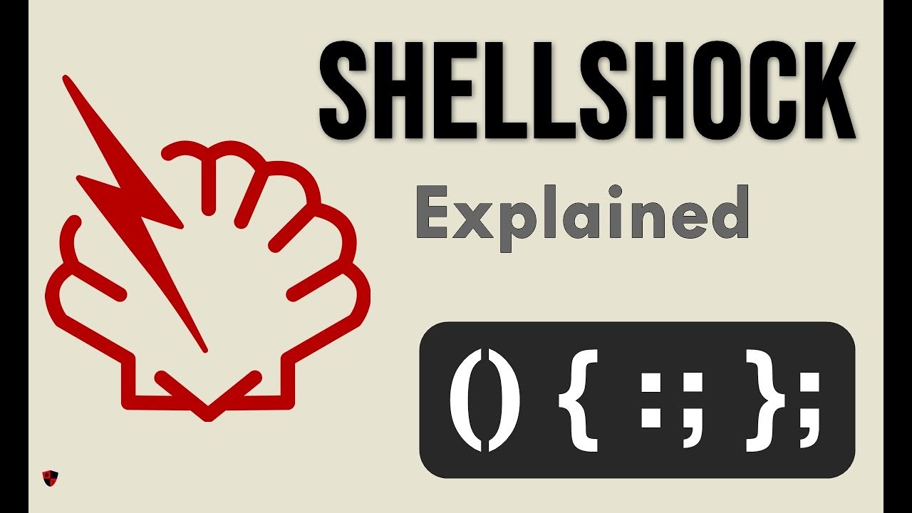 Shellshock Exploit Hack | Sticker