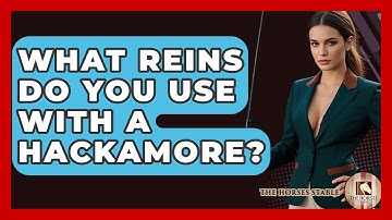 What Reins Do You Use With A Hackamore? - The Horses Stable