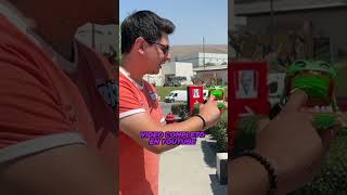 El cocodrilo mordelón no perdona