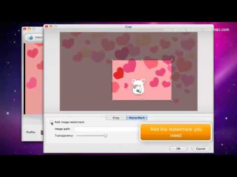 How to Convert SWF to MOV on Mac os x?