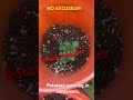 Potatoes Growing in Containers #potato #potatogrowing #containergardening #gardening