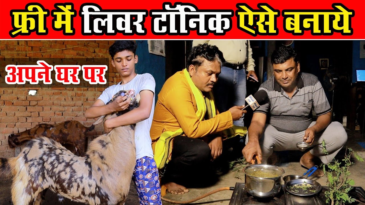 बकरी के लिए फ्री में लिवर टॉनिक ऐसे बनाए?Bakri ke liye Free Men Liver Tonic kaise Banaye-Sudhir sir