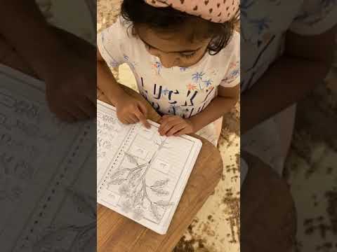 اليازية المسكري تركب اجزاء النبات 