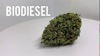 Biodiesel