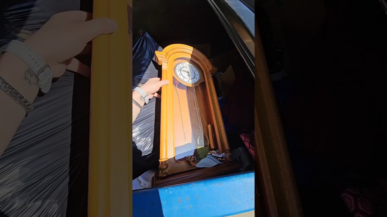 Ух ты! Нашла эти прекрасные винтажные часы в мусорном контейнере в комиссионном магазине!