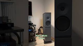 Кабельная обвязка Home Music #hiend #music