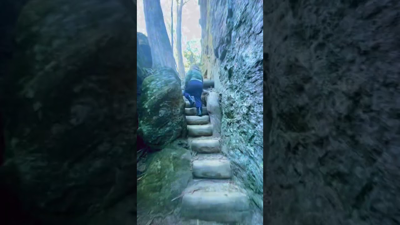 Glow worm tunnel Lithgow NSW blue mountains