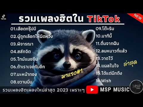 รวมเพลงฮิตในTikTok เลือดกรุ๊ปบี เพลงเพราะๆ ฟังเพลินๆ ใหม่ล่าสุด2023