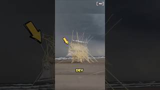 Sahildeki Bu Dev İskeletler Nedir?