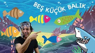 Beş küçük Balık Çocuk Şarkısı - Onur Erol Resimi