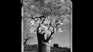 201802 生命的意义究竟是什么40638