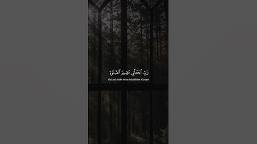 إنَّ رَبِّي لَسَمِيعُ الدُّعَاءِ   محمد صديق المنشاوي   سورة إبراهيم