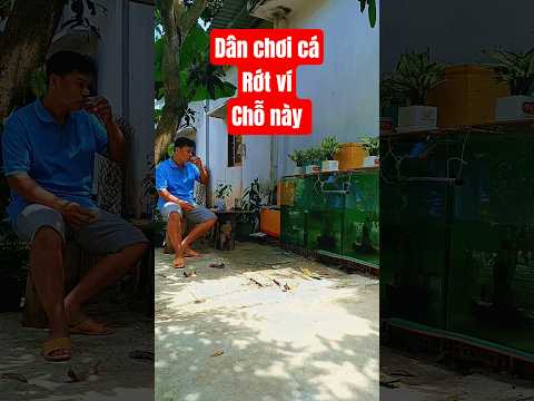 Dân chơi cá Rớt ví chỗ này