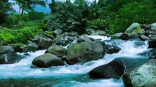 Tranquil River Flow in the Mountains for Serene Night Sleep