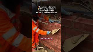 ПИШИТЕ +++ В КОММЕНТАРИИ #вакансии #работавевропе #виза #работавбельгии #работавевропе2026