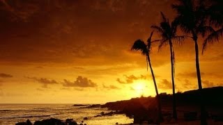 Watch Jack Johnson People Watching video