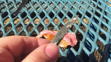 Stone tool primitive technology flint knife duck and beef