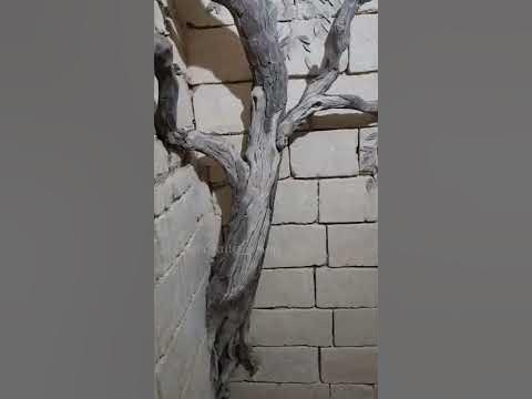 Дерево из гипса - YouTube