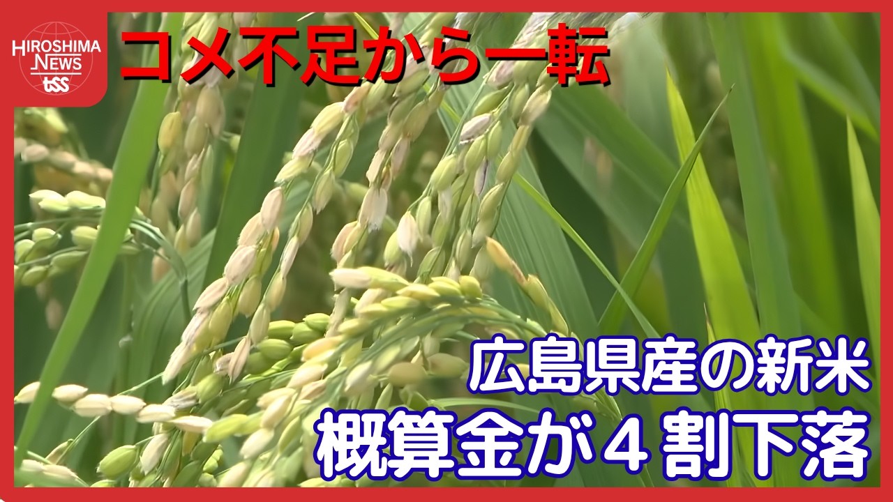県産新米「概算金」4割引き下げ コメ不足から一転コメ余り 農家