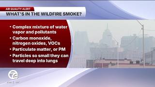 Ask Dr. Nandi: Your questions about Michigan's air quality answered