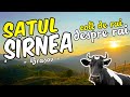 🐄 Satul SIRNEA - EXISTA RAI!!! Austria de Romania | Dani SPUNE