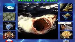 What Do I Eat? From Undersea Adventure MS-DOS/Packard Bell Version screenshot 2
