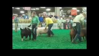 2014 NJSS Jr. Gilt Show