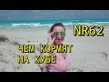 ЧЕМ КОРМЯТ НА КУБЕ!!! КУБИНСКИЙ ЗАВТРАК. КУБИНСКИЙ ОБЕД. КУБИНСКИЙ УЖИН. BE LIVE EXPERIENCE TURQUESA