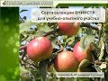 Галашева А.М.  Сорта селекции ВНИИСПК для учебно-опытного участка