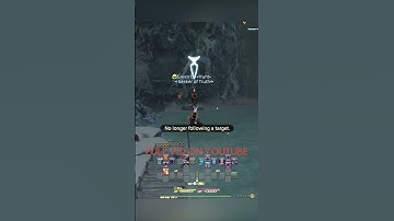 My MOST USED FFXIV Macro for Hunt Trains!