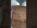 ib agro engineering works seeds pilant gravity sapreter