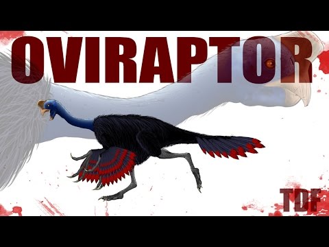 Oviraptor The Egg Thief (TDF Facts)