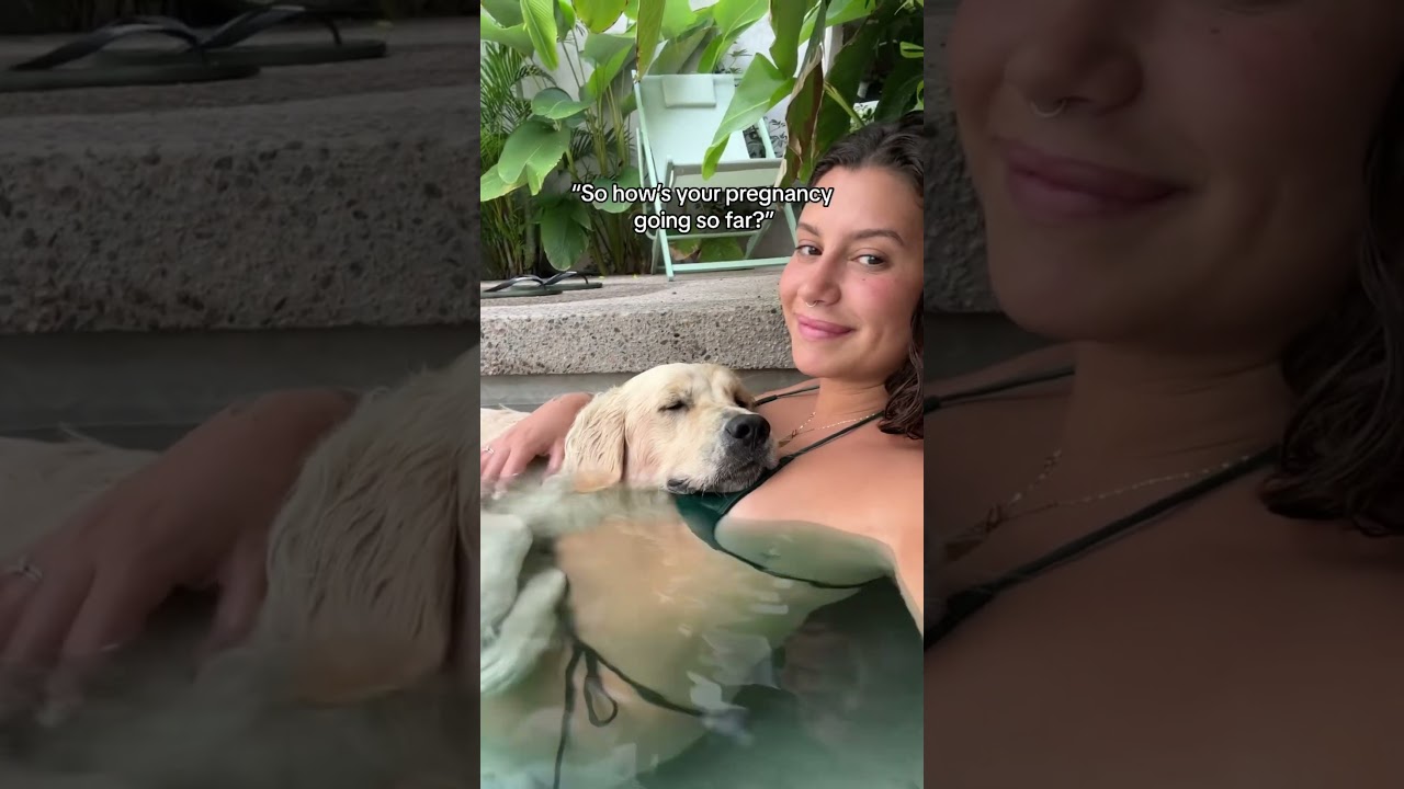 Dogs protect pregnant mothers 