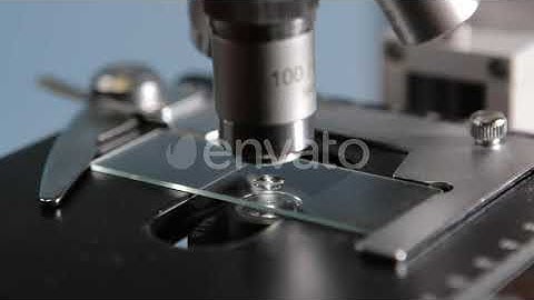 Scientist Studying Specimen With Microscope | Stock Footage - Envato elements