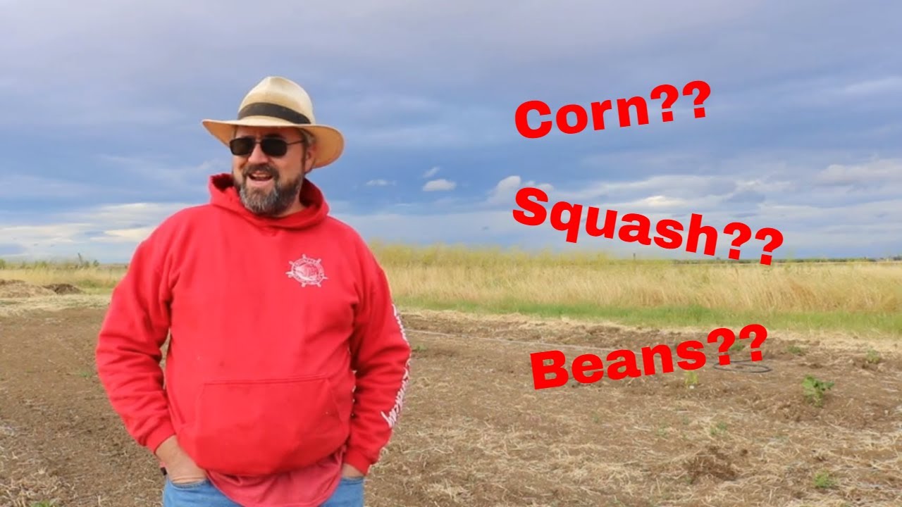 three sisters gardening method part one