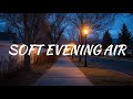 Evening Walk Music 🌙 Calm &amp; Easy Walking BGM | Light Steps, Relaxing Rhythm
