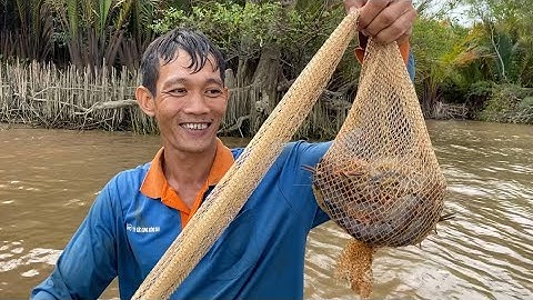 Lâu Rồi Không Đi Mò Tôm Càng Xanh về Làm Tôm Kho Việt Nam Quá Ngon | Cldv #325