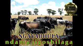 NGAYABHULA  UJUMBE WA NDAMA JIGUSHILAGA  BY LWENGE STUDIO 2023