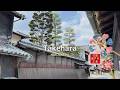 Hiroshima Travel Guide: Takehara Historic Town &amp; Soy Sauce Osaki Island | Sleep in a Bank Vault⁈