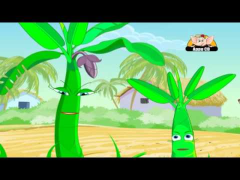 Learn about Plants in Hindi - Seed Dispersal - YouTube