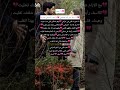 انااسف انا اسف على كثر اهتمامي انا اسف انا شكلي تماديت انا شاورت قلبي في