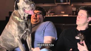 Weyerbacher Last Chance Blooper Reel
